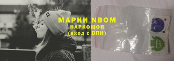 прущие грибы Алексеевка