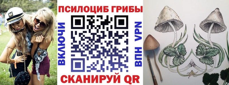 Псилоцибиновые грибы Psilocybine cubensis  Южно-Сахалинск 